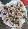 森農(nóng)樂鮑魚鮮活冷凍特大生鮮大號貝類海鮮水產(chǎn)超大即食佛跳墻食材鮑魚汁 14-15只/斤【中大鮑魚1斤 精品嘗鮮】 曬單實拍圖