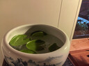 新款青花瓷缸陶瓷魚(yú)缸景德鎮陶瓷魚(yú)缸青花金魚(yú)烏龜缸盆睡蓮碗蓮水 直徑23厘米高度12厘米裸缸 青花纏枝連 曬單實(shí)拍圖