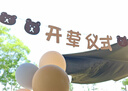 獅洛德 小紅書同款寶寶開葷儀式拉旗背景兒童周歲生日宴氣球布置 曬單實(shí)拍圖