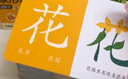 奕思瑞幼兒童識(shí)字卡片1-3-6歲象形字幼兒園寶寶學(xué)前看圖認(rèn)漢字啟蒙早教 曬單實(shí)拍圖