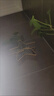 輕奢高級感小花瓶插花創(chuàng)意擺件家居客廳干花辦公桌餐桌藝術裝飾品 五角形水培花器 曬單實拍圖