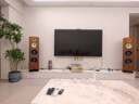 悠唐 T518落地音箱組合套裝HIFI發(fā)燒級(jí)功放機(jī)高音質(zhì)專業(yè)雙8英寸四單元三分頻落地箱音響 T518+MK8600PRO組合(鋼琴黑) 曬單實(shí)拍圖