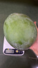 【新鮮上市】正宗攀枝花凱特芒果新鮮水果 帶箱2斤400g+（1-2個(gè)） 曬單實(shí)拍圖