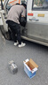 瓦爾塔（VARTA）汽車電瓶蓄電池 藍標 55B24L 軒逸鈴木騏達陽光東風福瑞達鋒馭 曬單實拍圖