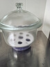 湘玻 玻璃干燥器實(shí)驗(yàn)室除濕多規(guī)格加厚玻璃干燥皿耐高溫腐蝕 透明        240mm 曬單實(shí)拍圖