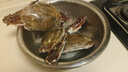 舟山梭子蟹鮮活特大野生大螃蟹新鮮冷凍海鮮水產(chǎn)海蟹飛蟹白蟹順豐 9兩以上/只【5斤凈重 超大肥美】 曬單實拍圖