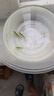 蝶翼斑馬魚長尾長鰭觀賞魚冷水小型淡水金魚活體好養(yǎng)淡水觀賞魚 翡翠綠2.8-3.5厘米2+1條備損發(fā)3 曬單實(shí)拍圖