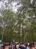 歐萊雅   L'OREAL安瓶面膜第四代女補(bǔ)水保濕玻尿酸淡紋面膜多效修護(hù)舒緩護(hù)膚品免洗 【全新升級(jí)】4.0安瓶面膜5片 曬單實(shí)拍圖