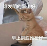 栢啟歆頭紗韓式新娘結婚頭飾超仙森系寫(xiě)真婚紗旅拍雙層拍照領(lǐng)證求婚表白 白色素紗云蓬【發(fā)梳款約80cm】 1 曬單實(shí)拍圖