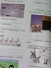 考點(diǎn)幫小學(xué)非連續(xù)性文本閱讀語文核心素養(yǎng)語言運(yùn)用審美鑒賞圖解考點(diǎn)題型解讀語文閱讀理解強(qiáng)化專項(xiàng)訓(xùn)練一二三四五六年級全國通用版 小學(xué)非連續(xù)性文本閱讀 曬單實(shí)拍圖