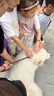 伯納天純凍干狗糧生鮮鴨肉梨0谷物凍干成犬幼犬通用犬糧 15kg 曬單實拍圖