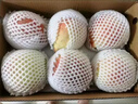 玫梔正宗深州大蜜桃河北馬莊大桃子水蜜桃壽桃高端水果中秋節(jié)禮品順豐 深州大蜜桃老樹果順豐空運 單果7-8兩  6個精品禮盒裝 曬單實拍圖