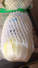 小湯山 北京 三寶白菜 600g 基地直供新鮮蔬菜 曬單實(shí)拍圖