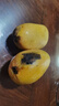 小臺芒新鮮現(xiàn)摘產(chǎn)地直發(fā)微花皮半黃發(fā)貨 2斤大果【帶箱】89g+ 曬單實拍圖