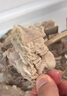 仲亨記寧夏灘羊肉 羔羊排羊肋排羊腿肉生鮮 新鮮現宰牛羊肉清真中秋禮盒 （推薦）4斤灘羊排+6斤灘羊腿 曬單實拍圖