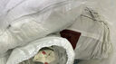 無(wú)印良品全棉被褥學(xué)生六件套（三件套+枕芯套+被芯+床褥）被子寢室上下鋪 曬單實(shí)拍圖