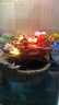 沐欽桌面微景觀(guān)小魚(yú)缸流水擺件循環(huán)水客廳辦公室裝飾開(kāi)業(yè)喬遷新居禮品 浣溪別院空盆(含擺件水泵自吸水 曬單實(shí)拍圖