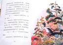 白鸛一鳴  鷹群入侵 陳佳同著(zhù) 苗桑繪 中信出版社 曬單實(shí)拍圖