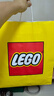 樂高(LEGO)積木拼裝31147復(fù)古相機+31169鮮花打字機雙組套 曬單實拍圖