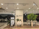 洛克爺爺仿真綠楓樹(shù)雞爪槭枯山水室內茶室景觀(guān)盆景假樹(shù)擺件綠植造景裝飾 來(lái)圖定制 曬單實(shí)拍圖