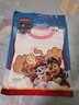 汪汪隊立大功（PAW PATROL）兒童睡衣女童家居服短袖短褲兩件套A類(lèi)棉蝙蝠袖夏裝 PA1896  110 曬單實(shí)拍圖