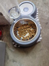 嬉皮狗（hipidog）條紋可牽引小狗狗衛(wèi)衣春秋薄款比熊寵物貓咪小型犬雪納瑞泰迪衣服 紅色條紋（自帶牽引扣） S （建議體重3-5斤） 曬單實拍圖