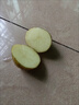 京碩果湖北恩施小土豆現挖富硒新鮮黃心土豆當季蔬菜整箱迷你馬鈴薯洋芋 5斤 曬單實(shí)拍圖