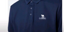 駱駝（CAMEL）絲光珠地棉POLO衫男士透氣刺繡翻領(lǐng)商務(wù)休閑短袖春夏季M14BA5E114 曬單實拍圖