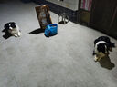 力狼（LILANG）狗糧幼犬成犬牛肉粒雙拼40斤德牧金毛小型中大型通用犬糧20kg 曬單實拍圖