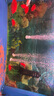 樂淘逸寵血紅鸚鵡魚活體發(fā)財(cái)魚財(cái)神魚大型熱帶觀賞魚淡水好養(yǎng) 大型魚套餐D3發(fā)順豐 曬單實(shí)拍圖