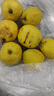 京鮮生 新疆庫爾勒香梨 凈重5斤 單果100g-120g 新鮮水果 源頭直發(fā) 曬單實(shí)拍圖