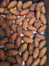 御農(nóng)優(yōu)品柞蠶蛹鮮活東北特產(chǎn)新鮮繭蛹特級(jí)大黃二黃蠶蛹黑蟬蛹活A(yù)級(jí)精品蛹 大黃蠶蛹3斤(約135只4-5cm/只) 曬單實(shí)拍圖