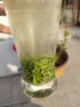 保銀【自飲推薦】 信陽(yáng)毛尖2025新茶綠茶春茶明前特級(jí)嫩芽濃香型250克 曬單實(shí)拍圖
