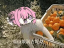 MAILE KID桃樂(lè)絲doro手辦玩偶勝利女神擺件動(dòng)漫粉狗周邊玩具公仔男女生禮物 曬單實(shí)拍圖