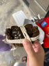 【活蟹】神行大閘蟹現(xiàn)貨全母蟹鮮活六月黃螃蟹生鮮河蟹生鮮禮盒 甄選全母蟹2.5-2.8兩 10只裝 曬單實(shí)拍圖