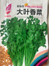四季播種大葉香菜種子農(nóng)家老品種芫荽種籽四季陽臺盆栽地栽香菜種 香菜種子【1包約500?！?原廠封裝 曬單實拍圖