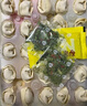 三全上海風(fēng)味大餡餛飩?cè)r口味500g*2袋80只 早餐食品速凍混沌生鮮 曬單實(shí)拍圖