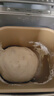 東菱（Donlim）【國家補貼】升級款面包機 全自動(dòng)家用和面機 可預約 智能雙撒 高成功率面包機 冰淇淋機DL-4705 曬單實(shí)拍圖