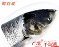 鮮喜愛(ài) 冷凍千島湖有機(jī)鰱魚頭1.5斤 白鰱魚頭  生鮮魚類 海鮮水產(chǎn) 曬單實(shí)拍圖