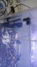 信友魚缸蝦缸水族箱生化棉過濾器XY-180 280 380水妖精組缸系統(tǒng)缸 XY-2830單頭水妖精 曬單實(shí)拍圖