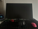 外星人外星人（ALIENWARE）2524HF 24.5英寸 電競(jìng)電腦顯示器Fast IPS 500Hz 0.5ms外星人視覺(jué)增強(qiáng)技術(shù) 官方標(biāo)配 曬單實(shí)拍圖