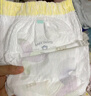 babycare易穿褲拉拉褲M碼46片（6-11kg） 短褲式嬰兒尿不濕柔軟透氣易穿脫 曬單實拍圖
