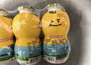金豆芽兒童金銀花柚子汁155ml*16瓶禮盒夏天孩子飲料寶寶零食果汁西柚汁 曬單實拍圖