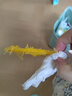 甜萌果蔬金煌芒 送人 水仙芒果青皮大芒果甜心芒海南新鮮水果孕婦盒子送禮 老樹精選裝（單果約270g+） 凈重4.5斤【超劃算】 曬單實(shí)拍圖
