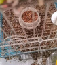萌正義鳥(niǎo)糧鸚鵡飼料玄鳳虎皮鳥(niǎo)食谷子畫(huà)眉鴿子牡丹文鳥(niǎo)1200ml 曬單實(shí)拍圖