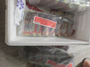 曉芹大連即食海參3斤35-50只 固形物75%  遼刺參 海鮮水產(chǎn)  曬單實拍圖