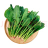 【產(chǎn)地直采】大菠菜300g 曬單實拍圖
