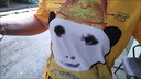 奧圣蔻龍圖衣服 兒童套裝皇帝龍袍搞笑學(xué)生抽象衣服搞怪安全褲搞笑防走 金色 短袖短褲【套裝】 130 兒童 曬單實(shí)拍圖