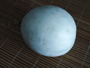 玉菇甜瓜冰淇淋現(xiàn)摘正宗新鮮水果整箱當(dāng)季水果香瓜冰淇淋 【超值裝】 3斤(凈重2.7斤) 曬單實(shí)拍圖