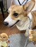 颯望德國(guó)狗狗牽引繩p繩p鏈小型大型中型犬狗鏈遛狗訓(xùn)犬訓(xùn)練防爆沖牽引 長(zhǎng)150cm直徑0.7cm【1-90斤】 曬單實(shí)拍圖